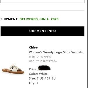 Chloe Woody Flat Logo Ribbon Slide Sandals